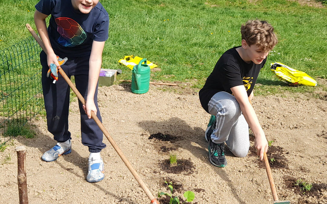 Uređenje školskog povrtnjaka