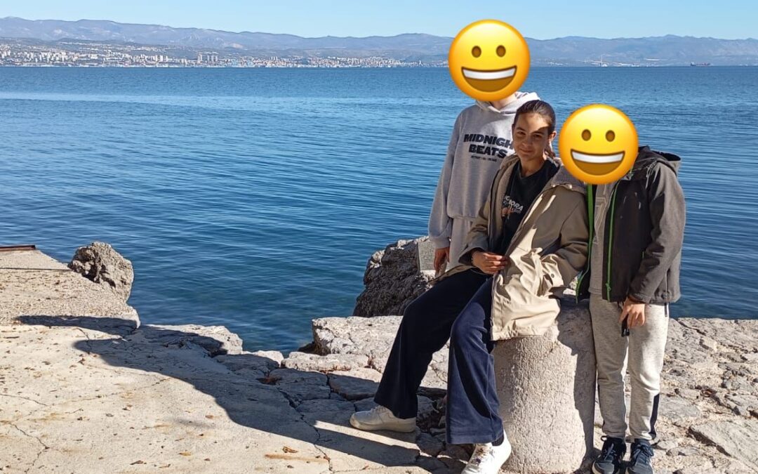 Županijsko natjecanje komornih orkestara