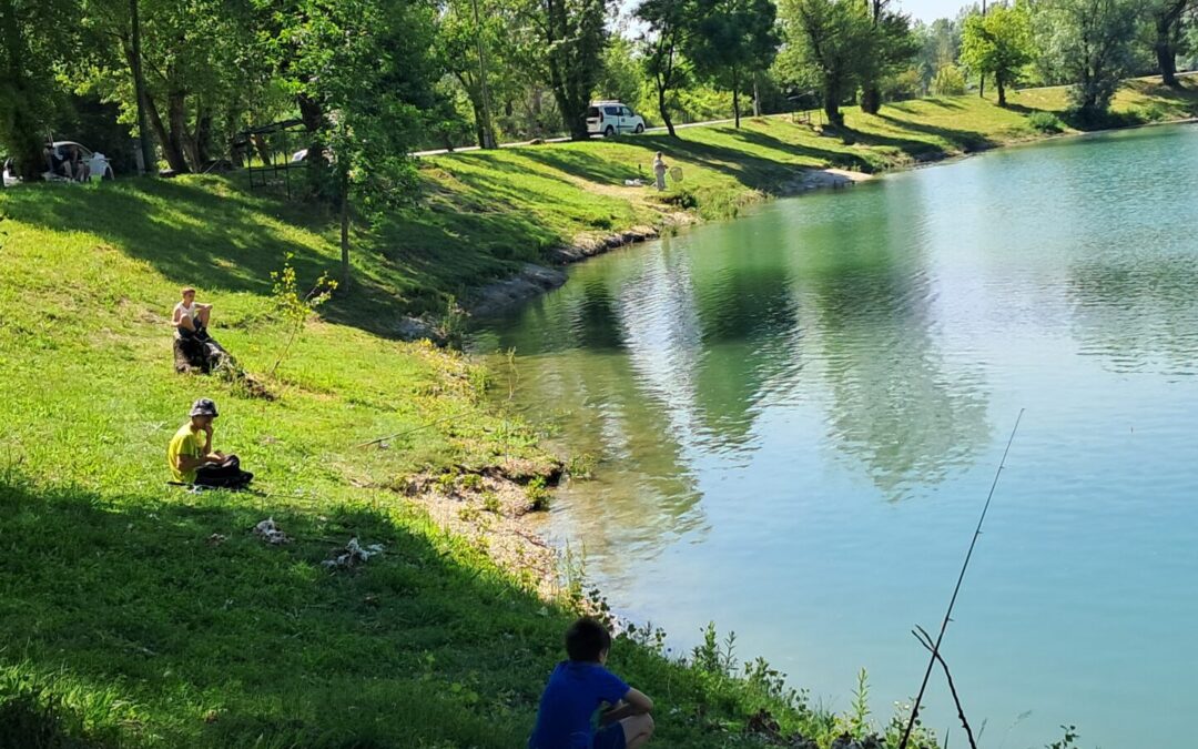 Ribičija