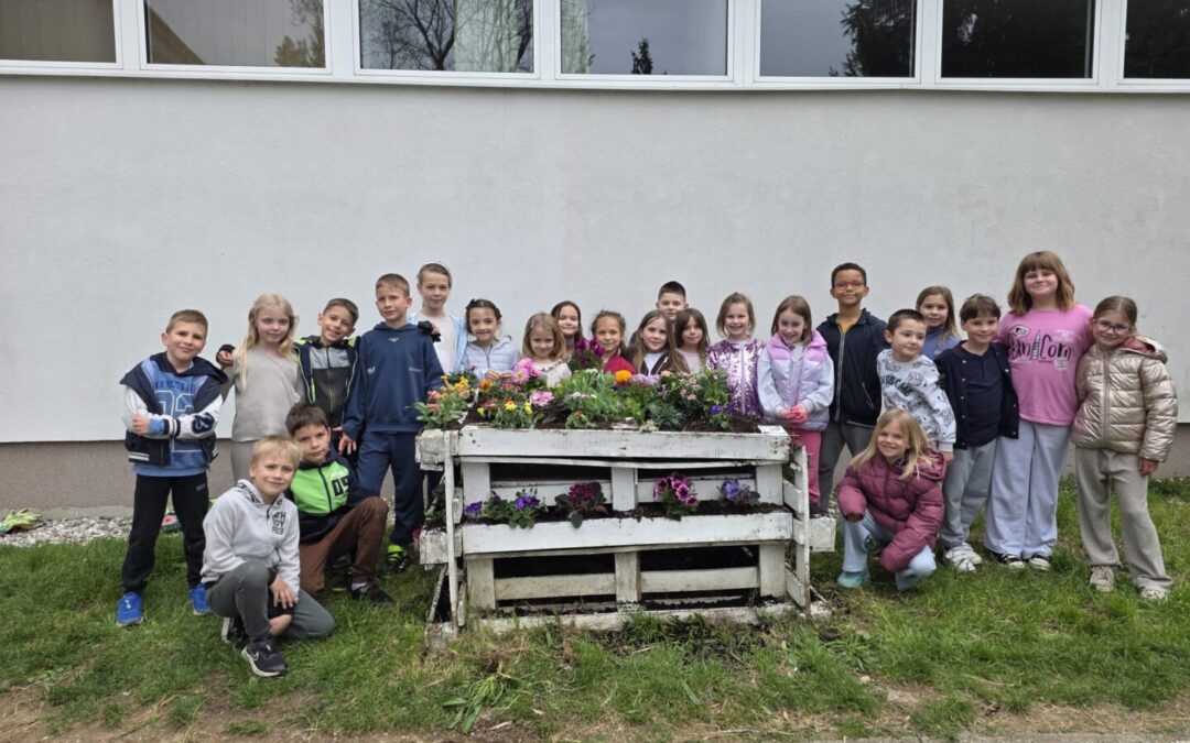 Uređenje školskog okoliša