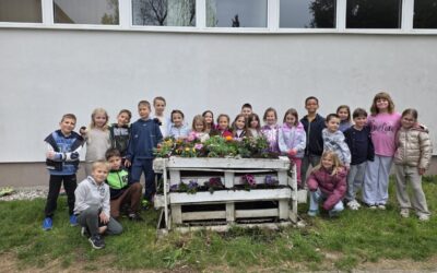 Uređenje školskog okoliša